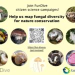 FunDive 2025 sampling season has just started