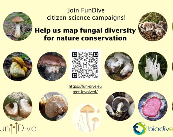 FunDive 2025 sampling season has just started