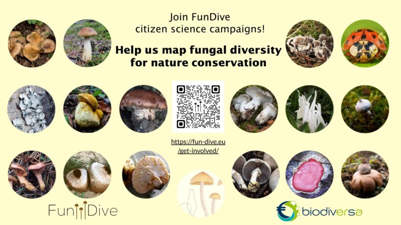 FunDive 2025 sampling season has just started